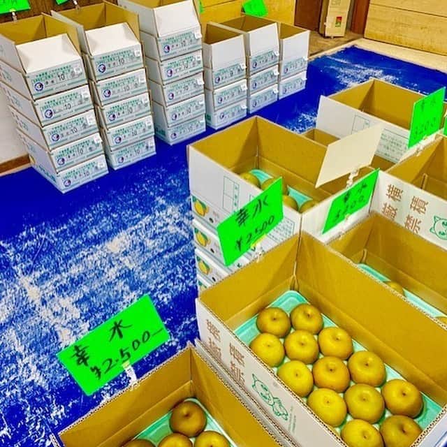 道の駅やちよのグルメインスタ