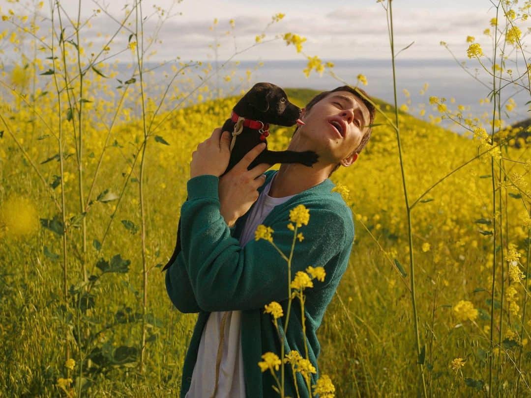 ナッシュ・グリアのインスタグラム：「This is Steve, he enjoys long walks, car rides and the beach 🌼」