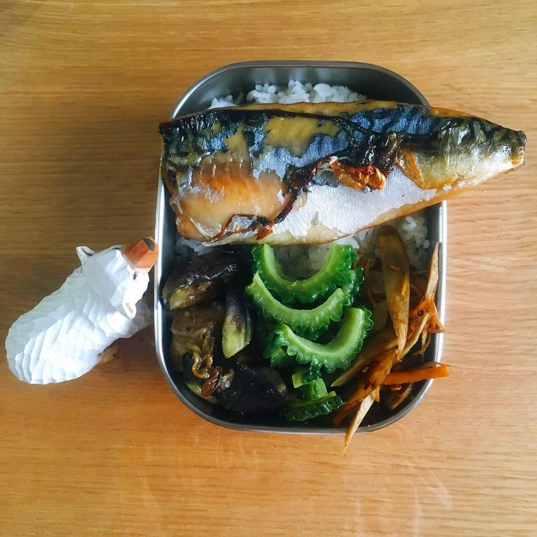 momoroさんのインスタグラム写真 - (momoroInstagram)「今日のお弁当。 鯖のみりん干し、ナスの味噌炒め、ゴーヤと梅こんぶ茶のごま油和え、きんぴら。 お盆休み終わってしまったー！今日からまたがんばる、。！ 全く手の届かない（1-2階の間）とこにゴーヤがいくつかなってるのでどうとるか思案中。、 #お弁当#ももろ弁当」8月19日 6時16分 - momoro6666