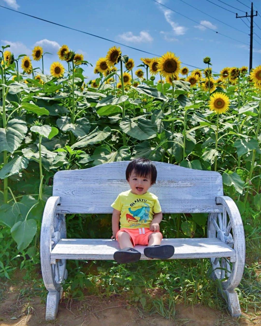 日下部ゆいこさんのインスタグラム写真 - (日下部ゆいこInstagram)「. . 大満喫のお盆休みも終わり。 . . 今日からまた 気を引き締めていかねば。 . . 息子と向日葵。 . . #息子#男の子#男の子ママ#ママ#1歳」8月19日 8時42分 - yuiko_kusakabe