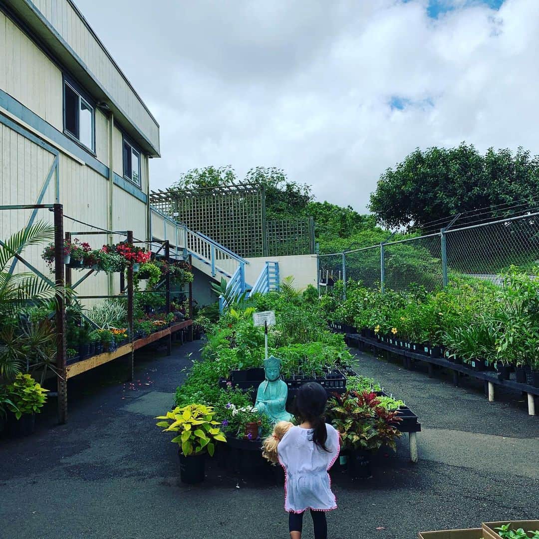 齊藤美絵さんのインスタグラム写真 - (齊藤美絵Instagram)「Phを下げるためにピートモスを撒きました。  園芸店でも、お参り。笑 「土が良いバランスになりますように🍀」 #maui #マウイ #liveontheearth #地球に寄り添った暮らし方 #childcare #育児  #3yearsold #liveontheearthfarm  #farming #peatmoss #organic #mauinokaoi  #Hawaii #aloha #livewelllovemuchlaughoften #howtobeawesometoday  #フードマエストロ #foodmaestro  #ナチュラルビューティスタイリスト #ツタエルヒト。」8月19日 8時44分 - saitomie