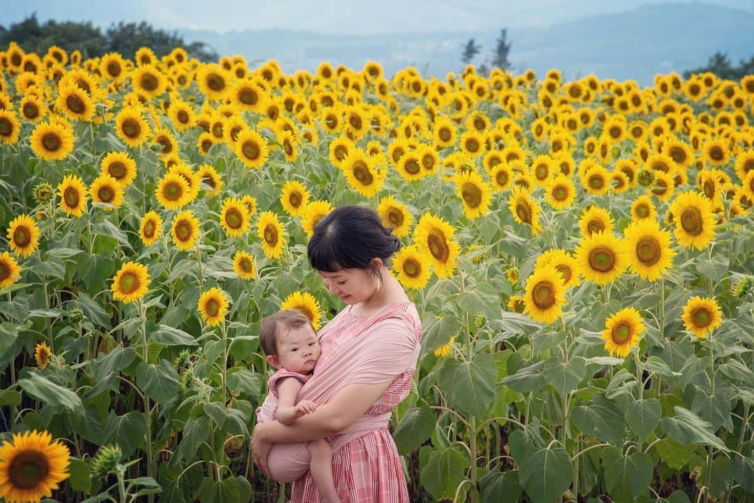 巴田みず希さんのインスタグラム写真 - (巴田みず希Instagram)「明野ひまわり🌻 ・ 見渡す限り埋め尽くされた私の背丈以上ある向日葵畑。 ・ 壮観だった😳✨ ・ 5枚目👉ハチ🐝も飛んでる！笑 ・ 娘も向日葵に夢中で、カメラ目線もらうのが難しかったよ〜でも必死で気を引いて笑なんとか撮れた笑☺️✨ ・ 暑かったけど小晴くんにも付き合ってもらったよ💕 ・ ワンコ連れは他にも居て、小晴くんも楽しそうだった🌻🐕✨ ・ ・ ・ #夏の思い出 #明野ひまわり畑 #向日葵 #ひまわり畑 #Sunflower #壮観 #ワンコ同伴 #犬同伴 #お出かけ #赤ちゃんとお出かけ #babyanddog #赤ちゃんと犬のいる生活 #12ヶ月 #12monthsbaby #whatabeautifulday #育児 #子育て #30代初ママ #新米ママと繋がりたい #女の子ママ #babyandme #babygirl #chihuahua #chihuahuaoftheday #chihuahualover #チワワ #スムチー #スムースコートチワワ」8月19日 9時01分 - mizukitomoda