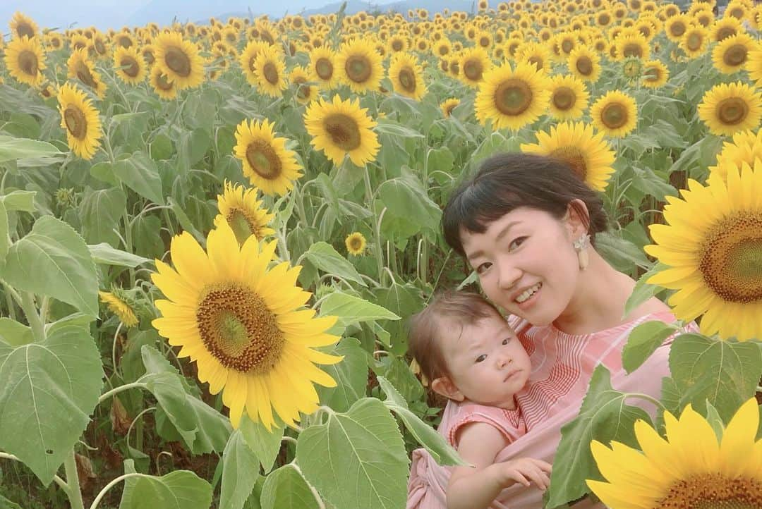 巴田みず希さんのインスタグラム写真 - (巴田みず希Instagram)「明野ひまわり🌻 ・ 見渡す限り埋め尽くされた私の背丈以上ある向日葵畑。 ・ 壮観だった😳✨ ・ 5枚目👉ハチ🐝も飛んでる！笑 ・ 娘も向日葵に夢中で、カメラ目線もらうのが難しかったよ〜でも必死で気を引いて笑なんとか撮れた笑☺️✨ ・ 暑かったけど小晴くんにも付き合ってもらったよ💕 ・ ワンコ連れは他にも居て、小晴くんも楽しそうだった🌻🐕✨ ・ ・ ・ #夏の思い出 #明野ひまわり畑 #向日葵 #ひまわり畑 #Sunflower #壮観 #ワンコ同伴 #犬同伴 #お出かけ #赤ちゃんとお出かけ #babyanddog #赤ちゃんと犬のいる生活 #12ヶ月 #12monthsbaby #whatabeautifulday #育児 #子育て #30代初ママ #新米ママと繋がりたい #女の子ママ #babyandme #babygirl #chihuahua #chihuahuaoftheday #chihuahualover #チワワ #スムチー #スムースコートチワワ」8月19日 9時01分 - mizukitomoda