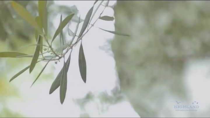 メゾン・プルミエール アット ロビンズのグルメインスタ