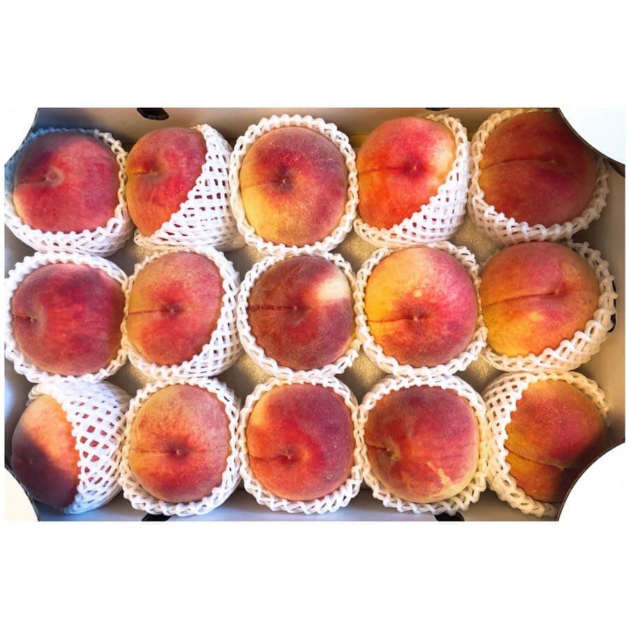 小口桃子のインスタグラム：「🍑🍑🍑﻿ ﻿ 山梨の桃いっぱい食べれてしあわせだった〜〜﻿ 桃モッツァレラも何回作ったことか🤤﻿ ﻿ また来年会えるのを待ってる！﻿ ﻿ ﻿ #peach#yamanashi#ichinomiya#一宮の桃#桃モッツァレラ」