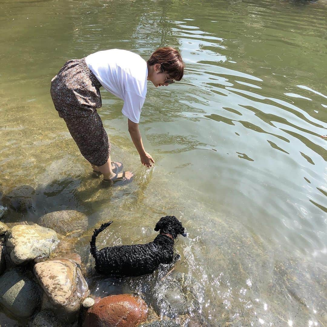 石田一帆さんのインスタグラム写真 - (石田一帆Instagram)「. 週末はドギーズアイランドへ🐕 . リリーとこっちゃん初コラボ♡ たくさん走り回ってお水遊びしてて 楽しそうな姿を見れてよかった☺️🌻 . しおりん、しおりん彼 連れてってくれてありがとう🥰 . #doggysisland#dogrun#puppy#dog#instadog#dogoftheday#cockerpoo#cockerpoosofinstagram#cockerpoopuppy#cockapoo#cockapoosofinstagram#cockapoopuppy#mix犬#ドギーズアイランド小谷流の里#ドギーズアイランド小谷流#小谷流の里#ドギーズアイランド#ドッグラン#コッカプー#犬のいる暮らし#わんこのいる生活」8月19日 18時42分 - ishidakazuho