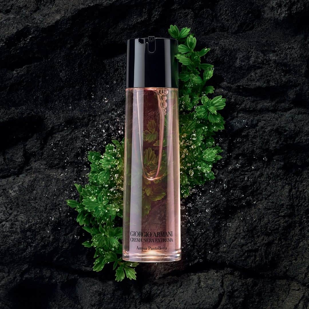 Armani Beautyさんのインスタグラム写真 - (Armani BeautyInstagram)「Start the day with a moment of relaxation with ACQUA PANTELLERIA, an antioxidant and hydrating lotion, infused with the healing powers of the Reviscentalis plant, that regenerates skin for a radiant complexion.  #ArmaniBeauty #CremaNera #skincare」8月19日 18時58分 - armanibeauty