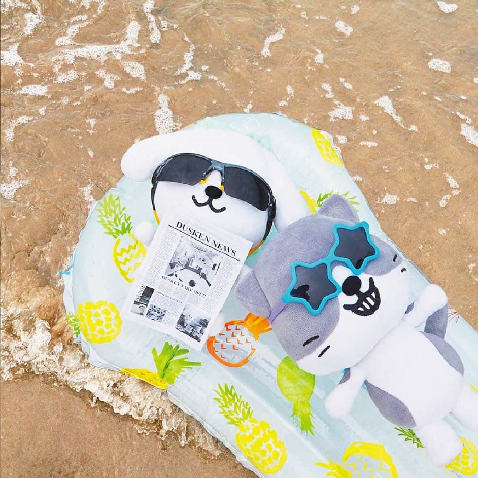 のインスタグラム：「ざざざ~ん、波の音を聞きながらまったり…🌊 #海の音  #落ち着く #日常を忘れさせてくれる #ダス犬にもいろいろあるんだよ #シミーにおやつ取られちゃったりとかね」