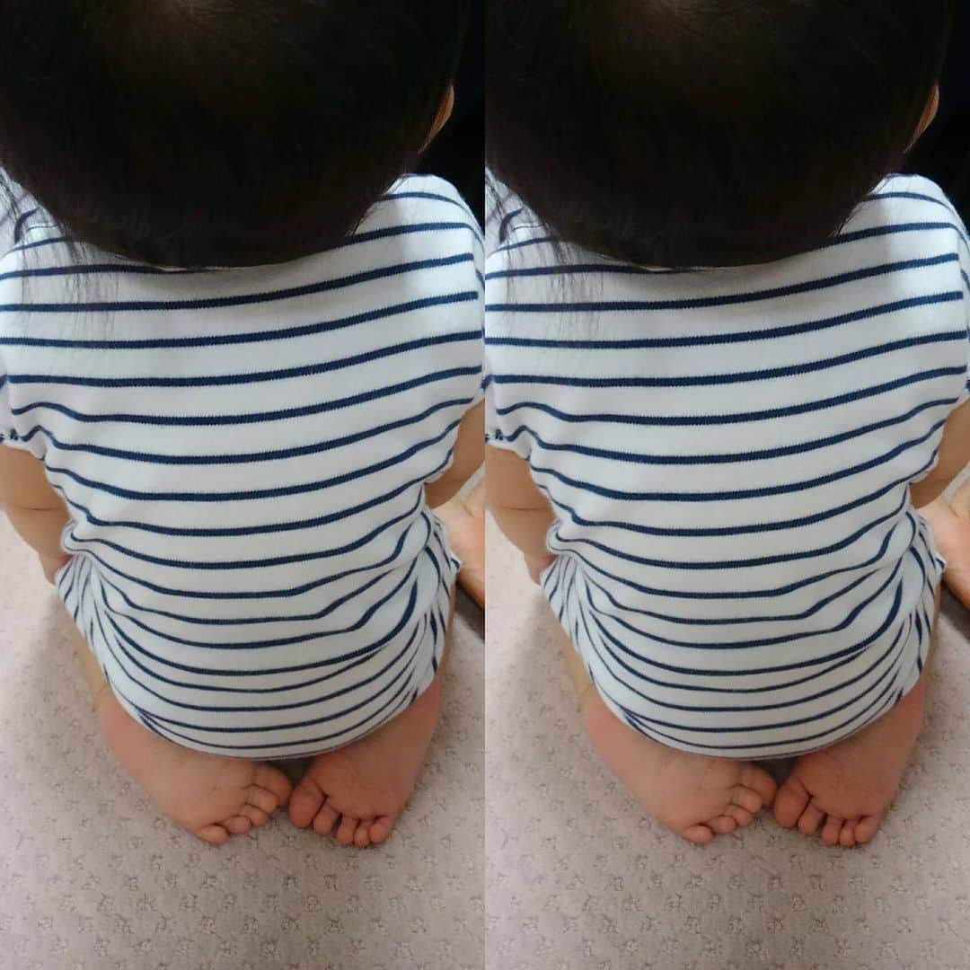 百千糸のインスタグラム：「正座のあんよが可愛いね💕」