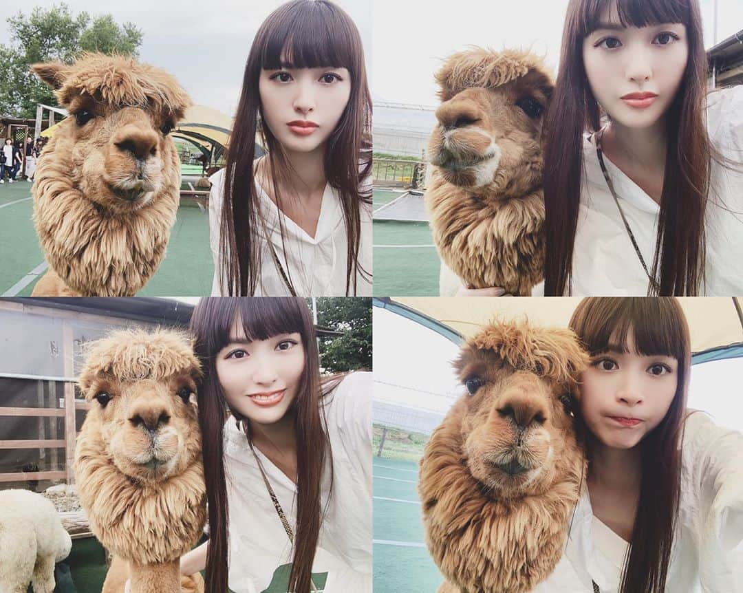 鈴木えみさんのインスタグラム写真 - (鈴木えみInstagram)「お久しぶり🤳🏻🦙💕 #アルパカ #セルフィー慣れ」8月19日 19時29分 - emisuzuki_official