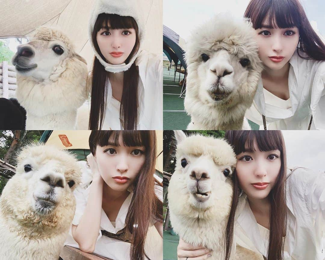 鈴木えみさんのインスタグラム写真 - (鈴木えみInstagram)「お久しぶり🤳🏻🦙💕 #アルパカ #セルフィー慣れ」8月19日 19時29分 - emisuzuki_official