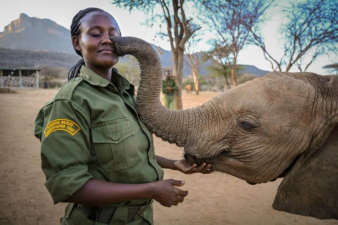 ナショナルジオグラフィックさんのインスタグラム写真 - (ナショナルジオグラフィックInstagram)「Photo by Ami Vitale @amivitale | Naomi, one of the dedicated keepers at Reteti Elephant Sanctuary (@r.e.s.c.u.e) and one of the very first indigenous Samburu women keepers in Africa, gets a caress from Shaba, @r.e.s.c.u.e's proxy matriarch. Shaba was rescued in November 2016, when poachers shot her mother dead. She arrived traumatized. It took the team a long time to gain her trust, spending day and night talking, singing, offering seed pods and fresh grass, anything they could think of. Then, one day she finally took a bottle and a strong bond was formed. Today, she is instrumental to the sanctuary. She keeps order, teaches the young ones how to forage and navigate steep paths, and, most incredibly, greets every new orphan at the sanctuary with a heartfelt and emotional hello. Follow @amivitale and @r.e.s.c.u.e to learn how you can support this crucial work. @conservationorg @thephotosociety @natgeoimagecollection #protectelephants #elephants #stoppoaching #kenya #worthmorealive」8月19日 19時33分 - natgeo