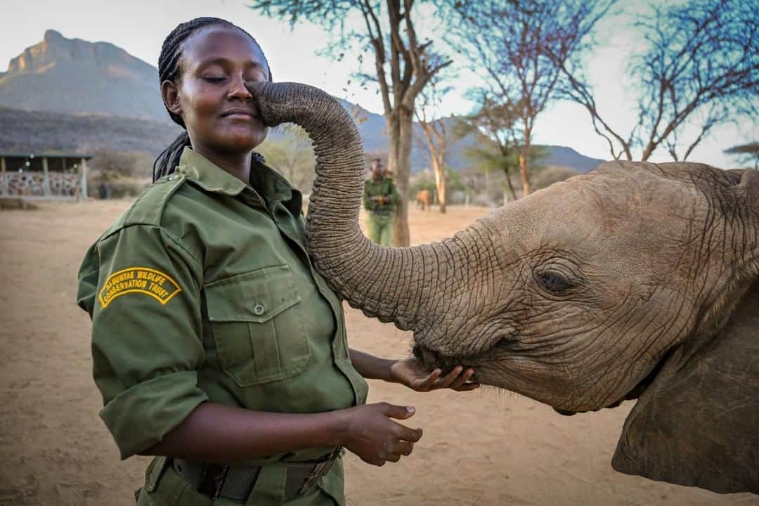 ナショナルジオグラフィックのインスタグラム