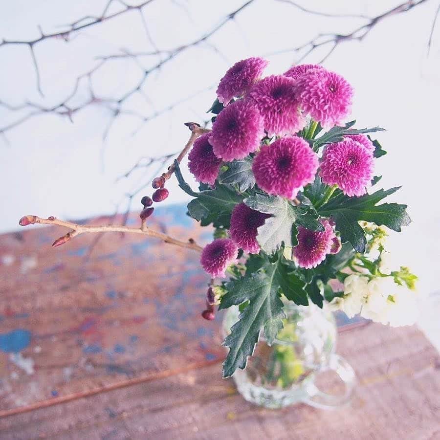Bloomee LIFEさんのインスタグラム写真 - (Bloomee LIFEInstagram)「・﻿ イエロー、ピンクとカラフルな色に、ふっくらとしたポンポン咲きがかわいらしいお花「マム」🌸﻿ ﻿ じつは、日本でもおなじみ「菊」のお仲間なんです！﻿ ﻿ 菊と同じく、日もちがしやすく﻿ 長くお家を彩ってくれる、かわいくて強い子です🌼🌸﻿ ﻿ マム達は、9月から顔を見せ始めます。﻿ ﻿ お手元に届いたら、ふんわりした姿を﻿ ぜひ可愛がってあげてください♪﻿ ﻿ Special Thanks Photo by﻿ @tecapo_26 （Bloomee LIFE提携のお花屋さん）﻿ ・﻿ --- #ヒマワリみつけた 🌻---﻿ 季節のお花で夏をシェアしよう！﻿ 夏を感じる【ヒマワリブーケ】をプレゼント🎁﻿ ・⠀﻿ お花は私たちに、季節を見つける楽しさを教えてくれます。﻿ 夏になると、ヒマワリが道端で元気に咲く姿や、﻿ 街にもヒマワリ模様があふれて、ふと見れば私たちのすぐそばに。﻿ ・⠀﻿ 身の回りで見つけたヒマワリと一緒に、﻿ あなたが夏を感じる瞬間をシェアしてみませんか？﻿ ・⠀﻿ 詳しくは"プロフィールトップのハイライト"をチェック👌⠀﻿ ・⠀﻿ 当選者の方にはbloomee LIFE 公式アカウントより⠀﻿ DMにてご連絡させていただきます✉️💐⠀﻿ ・﻿ #bloomeelife#ブルーミーライフ#花のある生活#花好きな人と繋がりたい#おうち時間#花部#花写真#花が好き#花を飾る#暮らしを楽しむ#日々の暮らし#丁寧な暮らし#日々#お花のある暮らし#ナチュラル#素敵な休日#暮らしを整える#くらしのきほん#日々の暮らしを楽しむ#丁寧に暮らす#ホワイトインテリア#マイルーム#リビング#花のある生活#日常 #北欧インテリア#シンプルインテリア#豊かな暮らし#ナチュラルインテリア」8月19日 19時57分 - bloomee