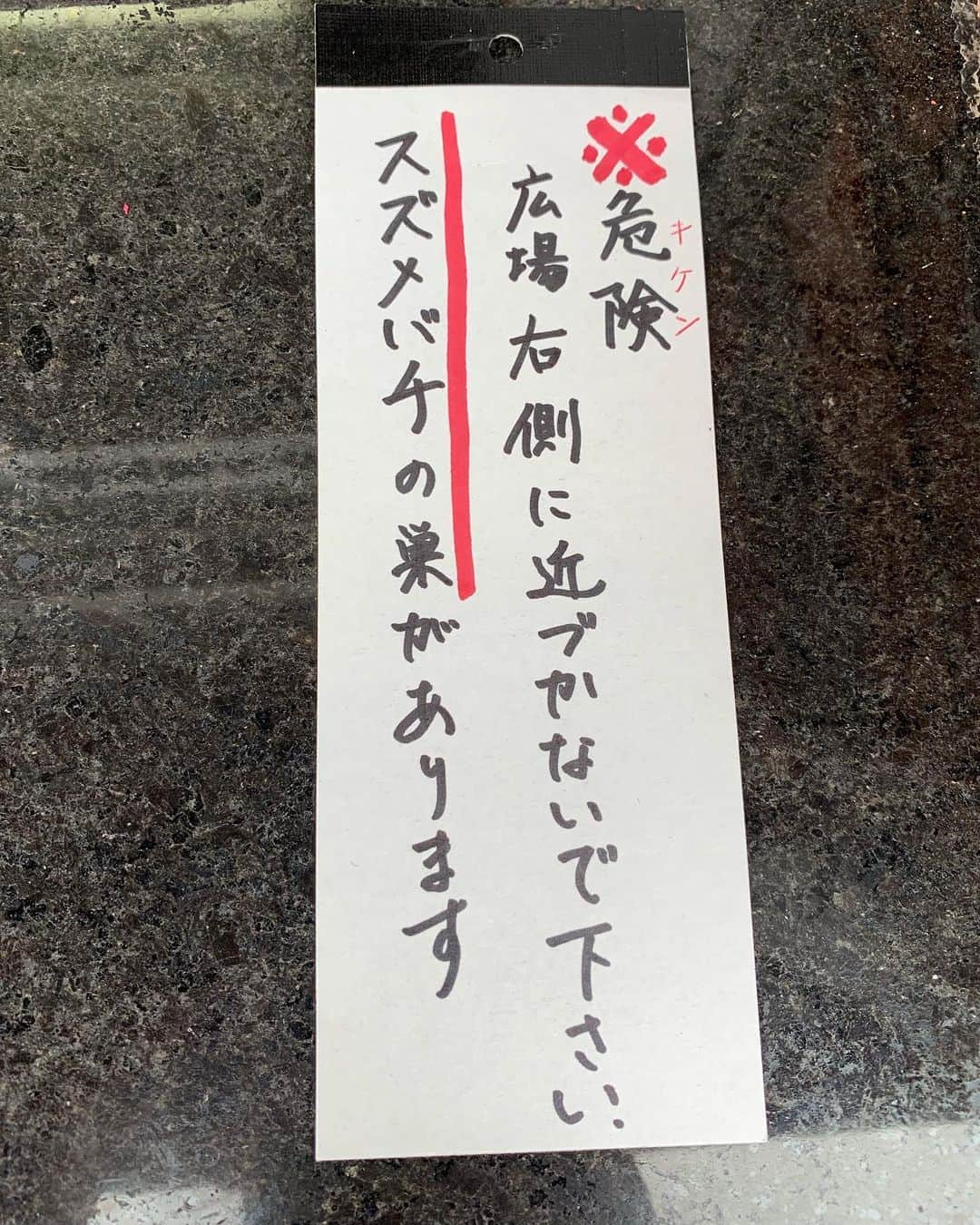 オカダ・カズチカさんのインスタグラム写真 - (オカダ・カズチカInstagram)「ビビったぜ……」8月19日 20時03分 - rainmakerxokada