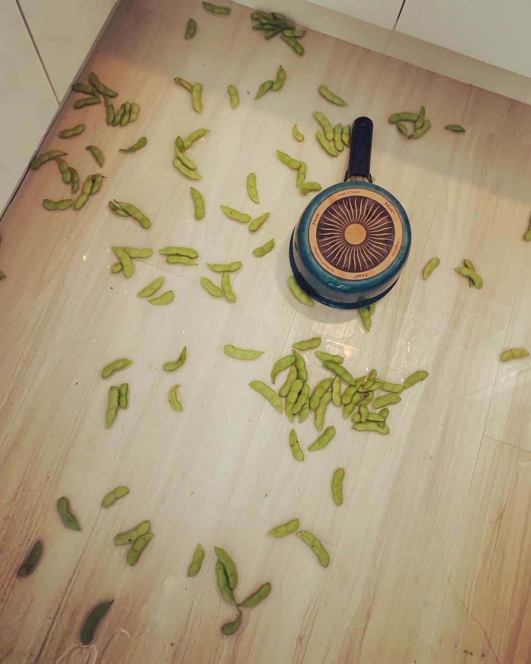 吉田羊さんのインスタグラム写真 - (吉田羊Instagram)「鍋の柄に手がぶつかって  塩茹で枝豆をぶちまけてしまったので  今日は仕事休みます  #床がびしゃびしゃ」8月19日 11時13分 - yoshidayoh_official