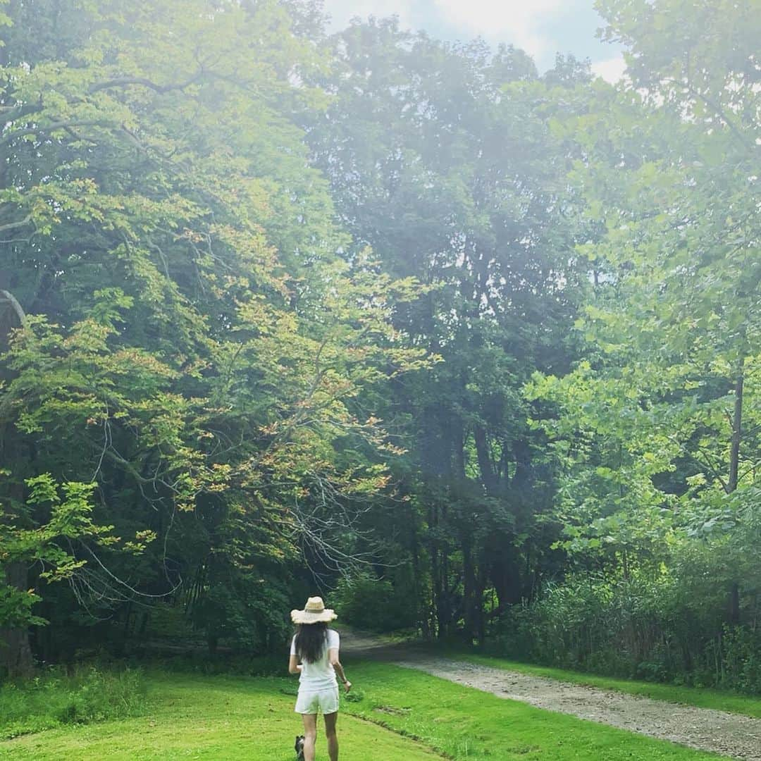 和央ようかさんのインスタグラム写真 - (和央ようかInstagram)「Into the woods 🌲🌳 森の中に🌳🌲 #少しの間だけ  #リードを外して 🐶 #takakonystylin🍎 #nylife #lifestyle #intothewoos  #dondon🐶 #offtheleash  #どんどん🐶#chihuahua  #和央ようか @dondon_oreo  @canyonranch」8月19日 11時34分 - yokawao0215