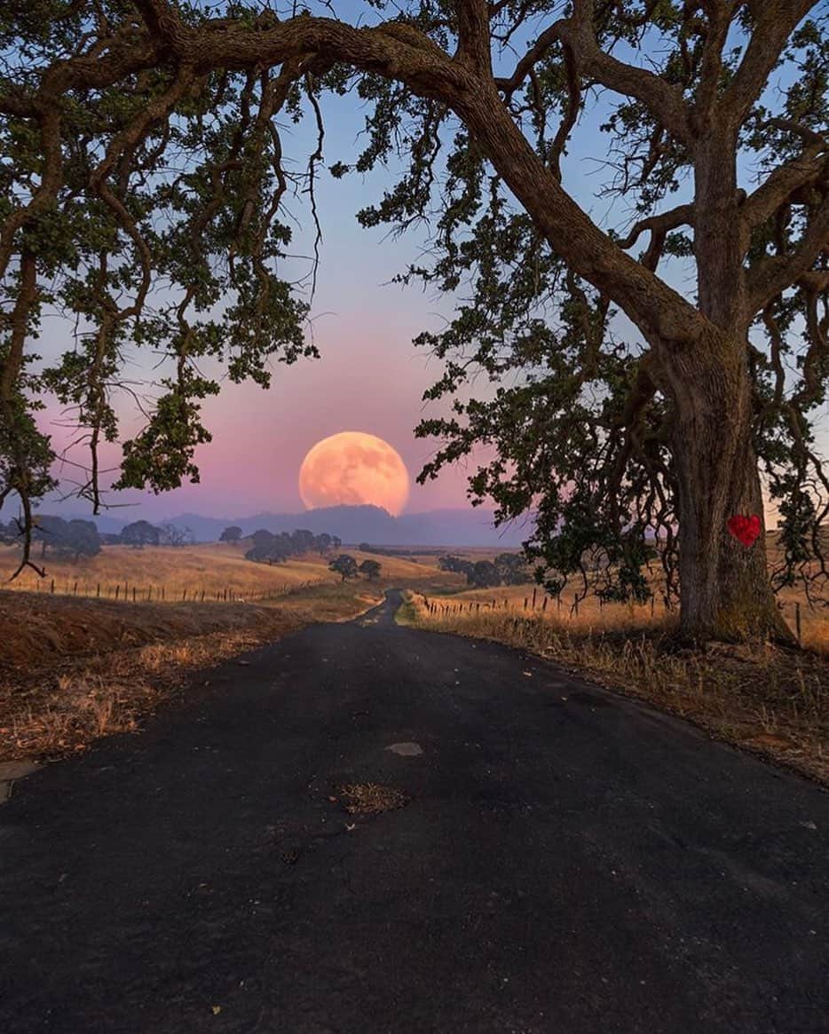 Canon Photographyさんのインスタグラム写真 - (Canon PhotographyInstagram)「A really impressive two shot focal length stack, looking out on a old country road!  Photography | @a_guy_named_eric  Jamestown, California  #canon_photos #moon_of_the_day #countryside #depthoffield #depthobsessed」8月19日 11時50分 - cpcollectives