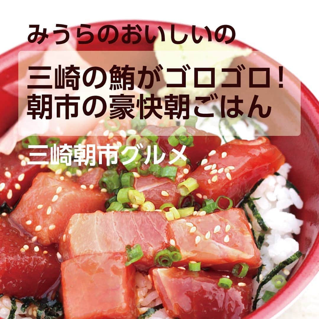 【公式】オーシャンリゾートホテル マホロバ・マインズ三浦のグルメインスタ