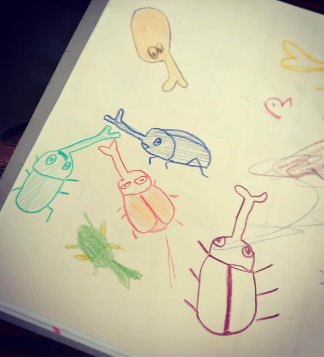 中越典子さんのインスタグラム写真 - (中越典子Instagram)「息子に カブト虫を描いてと言われ こうなりました！ 笑あははは！ ＃芸術クラス だったのに。 もちろん、本気で描けば、上手にかけるのよ！」8月19日 12時02分 - nakagoshi_noriko.official