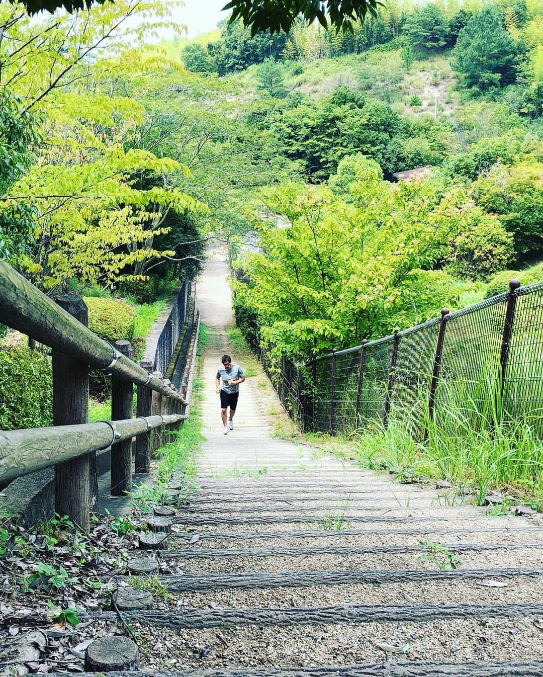 篠原信一さんのインスタグラム写真 - (篠原信一Instagram)「午前中はウエイト。丸山城志郎ポーズからの❗️ 大野将平や丸山城志郎も走る階段でダッシュ💦😭 #judo #judoka #judotraining #柔道 #汗 #sweat #weighttraining #training #天理大学 #白川ダム #階段ダッシュ #dash」8月19日 12時17分 - s.shinohara_life