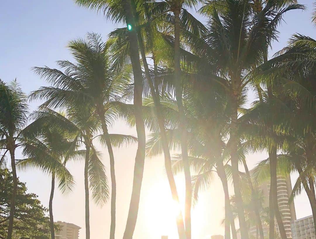 林弓束さんのインスタグラム写真 - (林弓束Instagram)「朝も昼も夕方も夜も美しい景色がひろがっている☀️🌈⭐️🌙🌴🌺 . . #hawaii #ハワイ #ハワイ旅行 #ホノルル #ワイキキ #ハワイ旅行 #景色  #travel #海外旅行 #yzktrip」8月19日 12時44分 - hayashiyuzuka