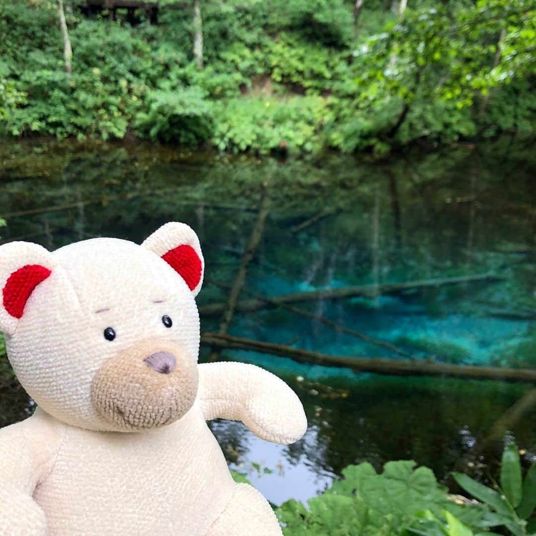フェイラー（FEILER）さんのインスタグラム写真 - (フェイラー（FEILER）Instagram)「毎日暑いけど、みんな、元気？ フェイラーのアンバサダーFEILER Bearのリーベです。  夏休みは大好きな旅行へ。 今年は北海道(道東)を巡って、大自然に感動！  知床半島クルーズではカムイワッカの滝とパチリ。ヒグマさんに出合わないようにドキドキしながら知床五湖を歩いて、オホーツク海に沈む夕日の美しさにうっとり。神の子池のブルーの世界は神秘的。阿寒湖ではゆっくり温泉に浸かってリフレッシュ。釧路湿原はノロッコ号に乗って。本土最東端の納沙布岬までロングドライブ。  みんなの夏休みの投稿も楽しんで見ています！  #夏休み #北海道 #道東 #知床 #クルーズ #カムイワッカの滝 #知床五湖 #阿寒湖 #神の子池 #釧路湿原 #納沙布岬 #フェイラー公式キャラクター #フェイラーベアリーベくん #アンバサダー #くま #ドイツ生まれ #男の子 #20歳 #趣味 #旅行 #美味しいものを食べること #好きなもの #ビール #おすし #シュニッツェル #フェイラーのくま #FEILER #フェイラー」8月19日 12時52分 - feiler_jp