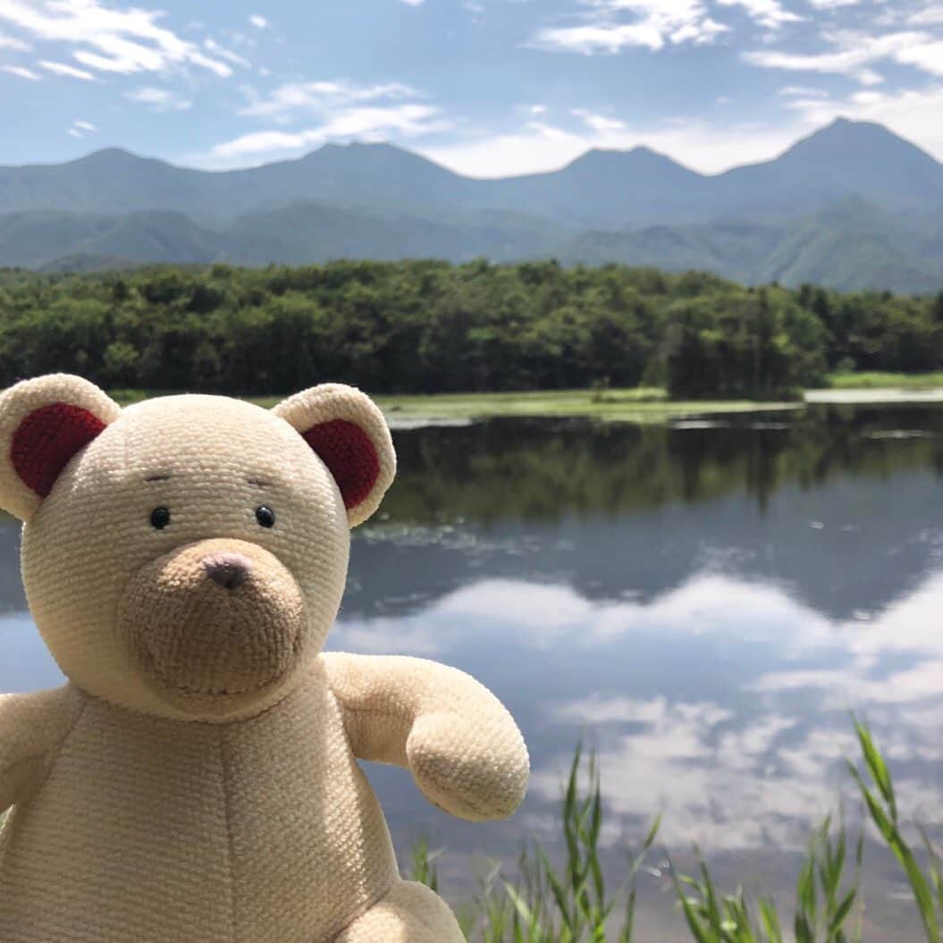 フェイラー（FEILER）さんのインスタグラム写真 - (フェイラー（FEILER）Instagram)「毎日暑いけど、みんな、元気？ フェイラーのアンバサダーFEILER Bearのリーベです。  夏休みは大好きな旅行へ。 今年は北海道(道東)を巡って、大自然に感動！  知床半島クルーズではカムイワッカの滝とパチリ。ヒグマさんに出合わないようにドキドキしながら知床五湖を歩いて、オホーツク海に沈む夕日の美しさにうっとり。神の子池のブルーの世界は神秘的。阿寒湖ではゆっくり温泉に浸かってリフレッシュ。釧路湿原はノロッコ号に乗って。本土最東端の納沙布岬までロングドライブ。  みんなの夏休みの投稿も楽しんで見ています！  #夏休み #北海道 #道東 #知床 #クルーズ #カムイワッカの滝 #知床五湖 #阿寒湖 #神の子池 #釧路湿原 #納沙布岬 #フェイラー公式キャラクター #フェイラーベアリーベくん #アンバサダー #くま #ドイツ生まれ #男の子 #20歳 #趣味 #旅行 #美味しいものを食べること #好きなもの #ビール #おすし #シュニッツェル #フェイラーのくま #FEILER #フェイラー」8月19日 12時52分 - feiler_jp