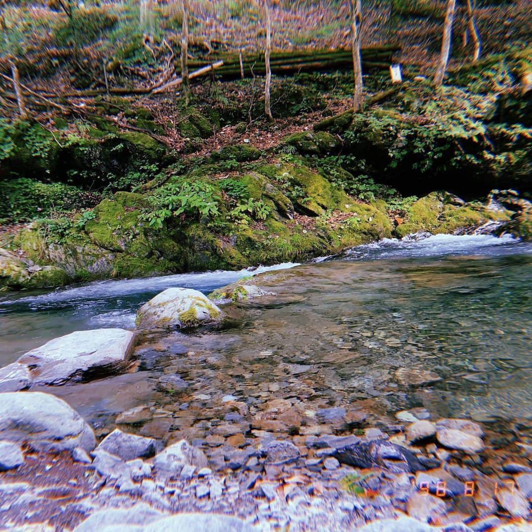 のインスタグラム：「とっても綺麗な川だった🎣 . . #秩父」
