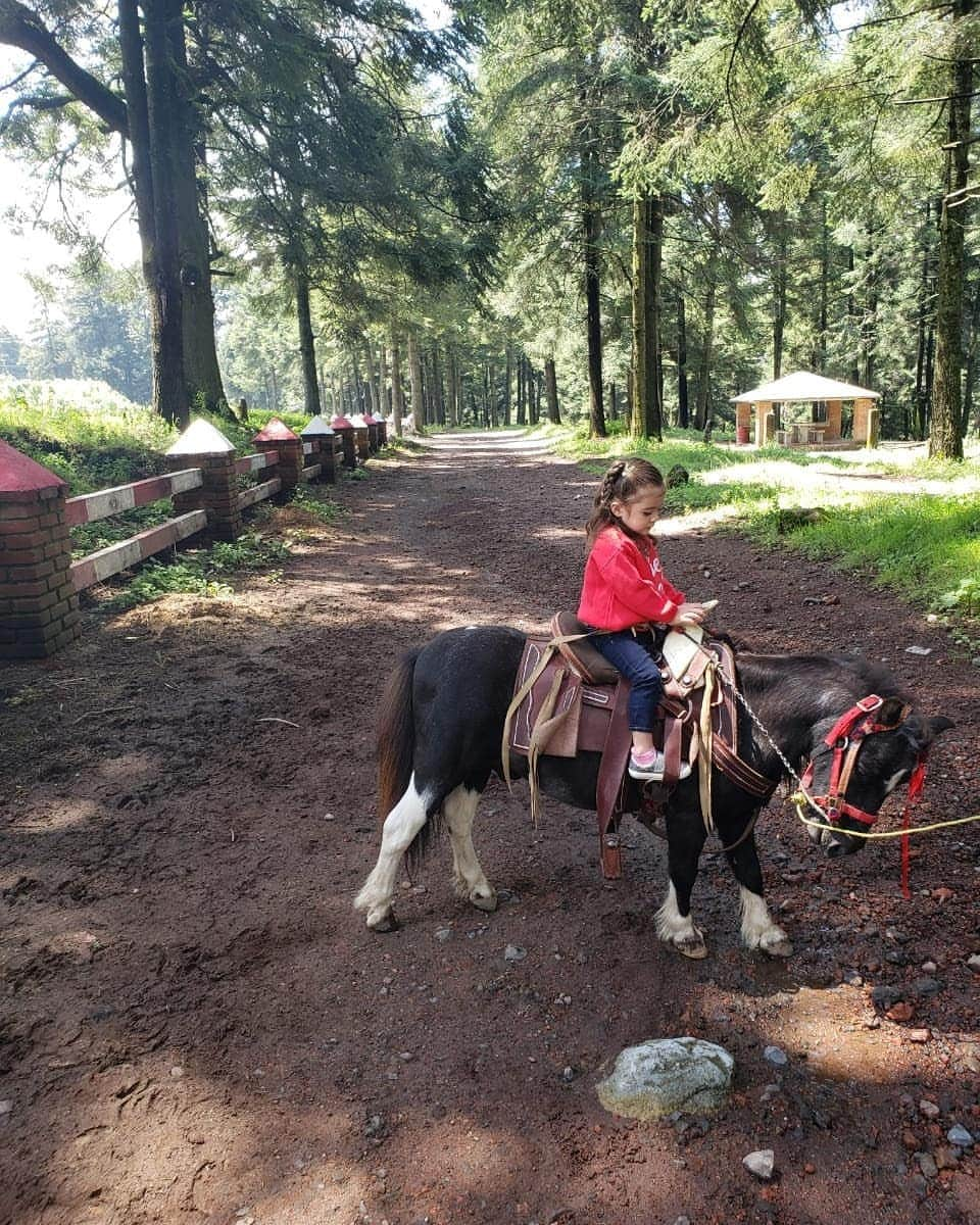 イヴァン・ガルシアさんのインスタグラム写真 - (イヴァン・ガルシアInstagram)「🐎🐴🌲🌲❤️❤️.... Domingo familiar, damonigo perfecto #familiagarciaespinosa」8月19日 13時19分 - ivangarciapollo