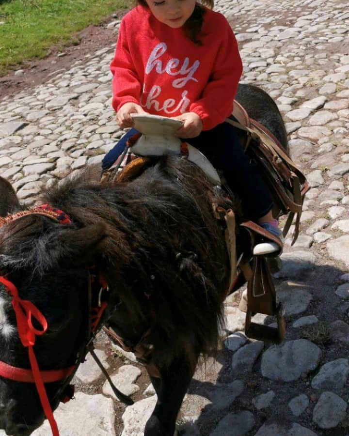 イヴァン・ガルシアのインスタグラム：「🐎🐴🌲🌲❤️❤️.... Domingo familiar, damonigo perfecto #familiagarciaespinosa」