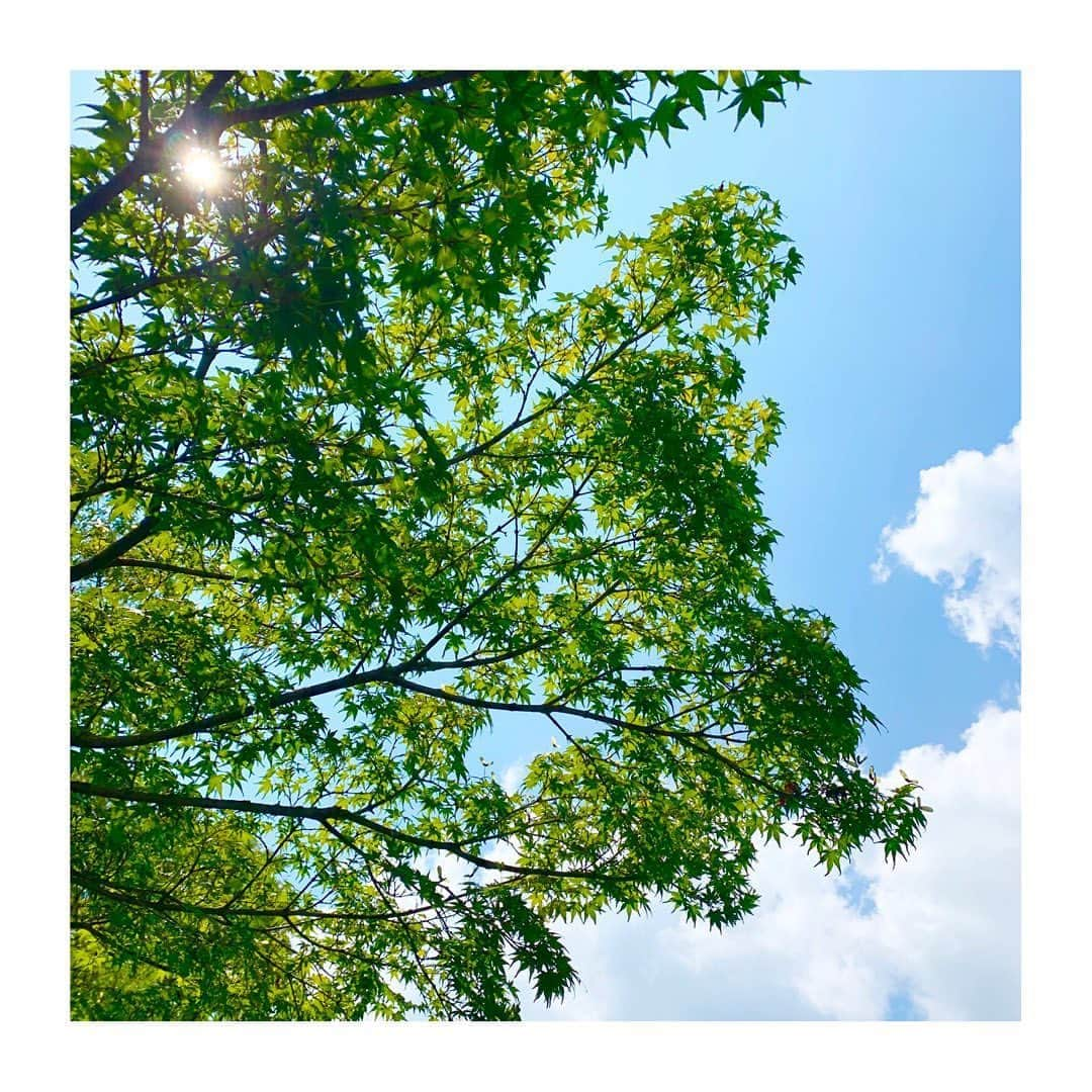 佐藤梨那さんのインスタグラム写真 - (佐藤梨那Instagram)「京都の夏 ⛩☀️ . 家族と久々に帰省できました☺️ ☀️ ＊  #竹林 #紅葉前の🍁 #今宮神社のあぶり餅  #夕焼け #棚田🌾」8月19日 13時48分 - sato_lina