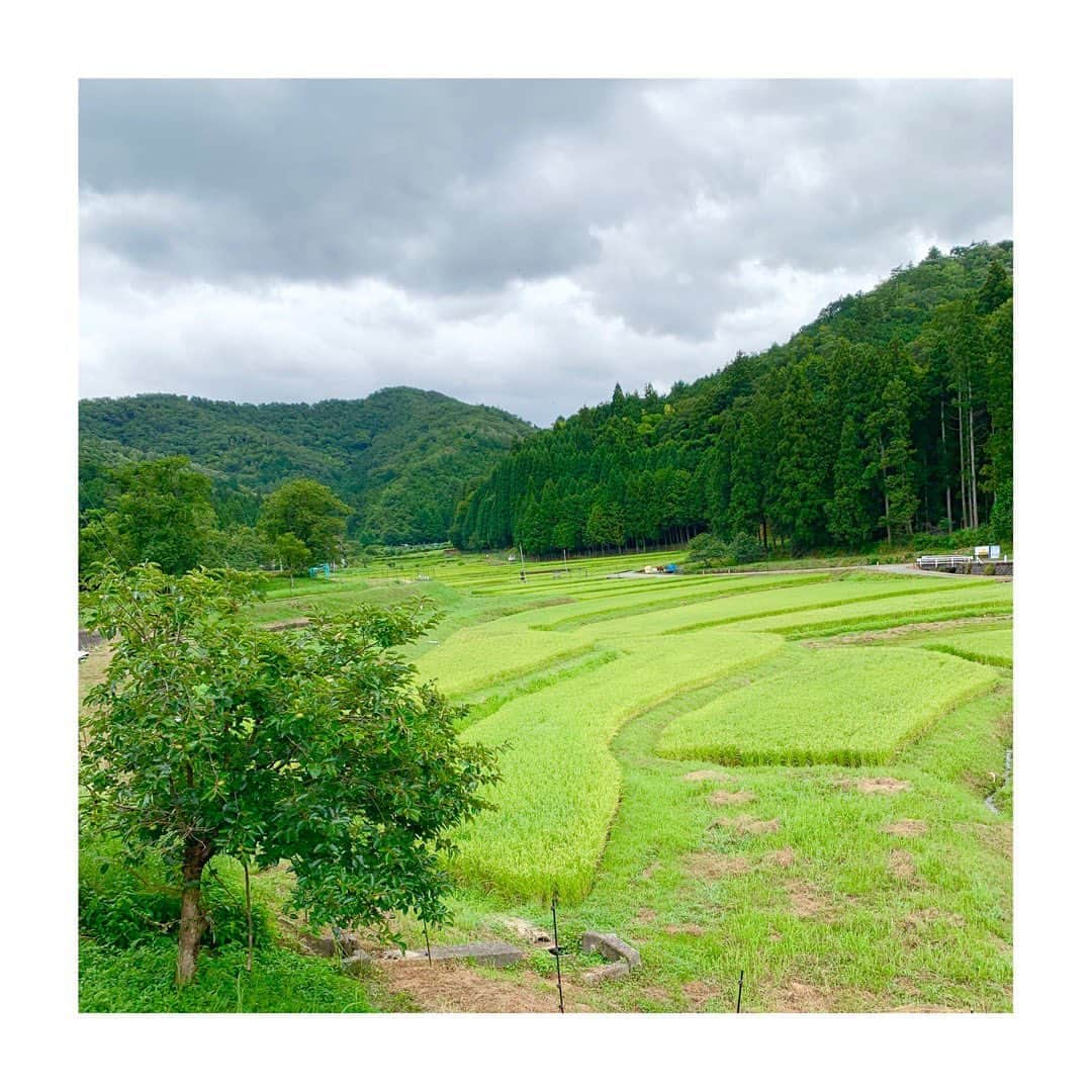 佐藤梨那さんのインスタグラム写真 - (佐藤梨那Instagram)「京都の夏 ⛩☀️ . 家族と久々に帰省できました☺️ ☀️ ＊  #竹林 #紅葉前の🍁 #今宮神社のあぶり餅  #夕焼け #棚田🌾」8月19日 13時48分 - sato_lina