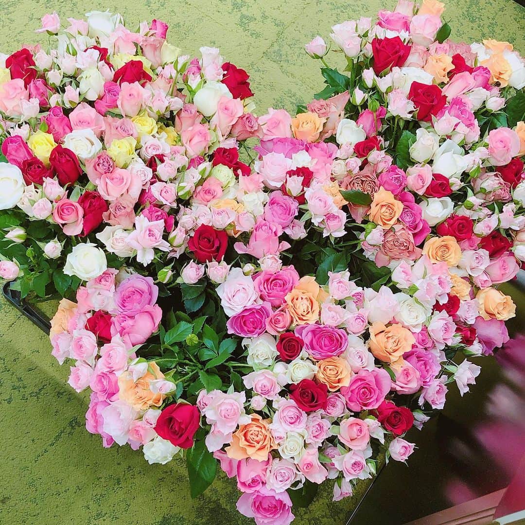 犬塚志乃さんのインスタグラム写真 - (犬塚志乃Instagram)「mozo jiimo豊川市編、 2日間本当にありがとうございました❤️ ・ 今回は薔薇の生産量が日本一の 豊川市とのコラボイベントということで 天野バラ園さんの綺麗なバラに囲まれながら 2日間MCをさせていただきました🥰✨ ・ 写真1枚目は100本のバラの花束💐 女性の憧れですよね🌹🌹 ・ 次回は、8/23(金)24(土)に 同じくmozoワンダーシティさんで スラックラインイベントの MCをさせていただきます🎤 ・ ぜひご参加ください🥺❤️ ・ ・ ・ #mozo #mozoワンダーシティ #mozojiimo #愛知 #豊川 #フラワーアレンジメント #ドライローズ  #ローズサシェ #バラ #天野バラ園 #バラの花束 #100本のバラ #ショッピングモール  #イベントMC  #instadaily #instagood #japan #nagoya #instagirl #girl #japanesegirl #l4l #like4like #followme #pleasefollowme #love #happy #good #犬塚志乃」8月19日 14時07分 - inuaya_42
