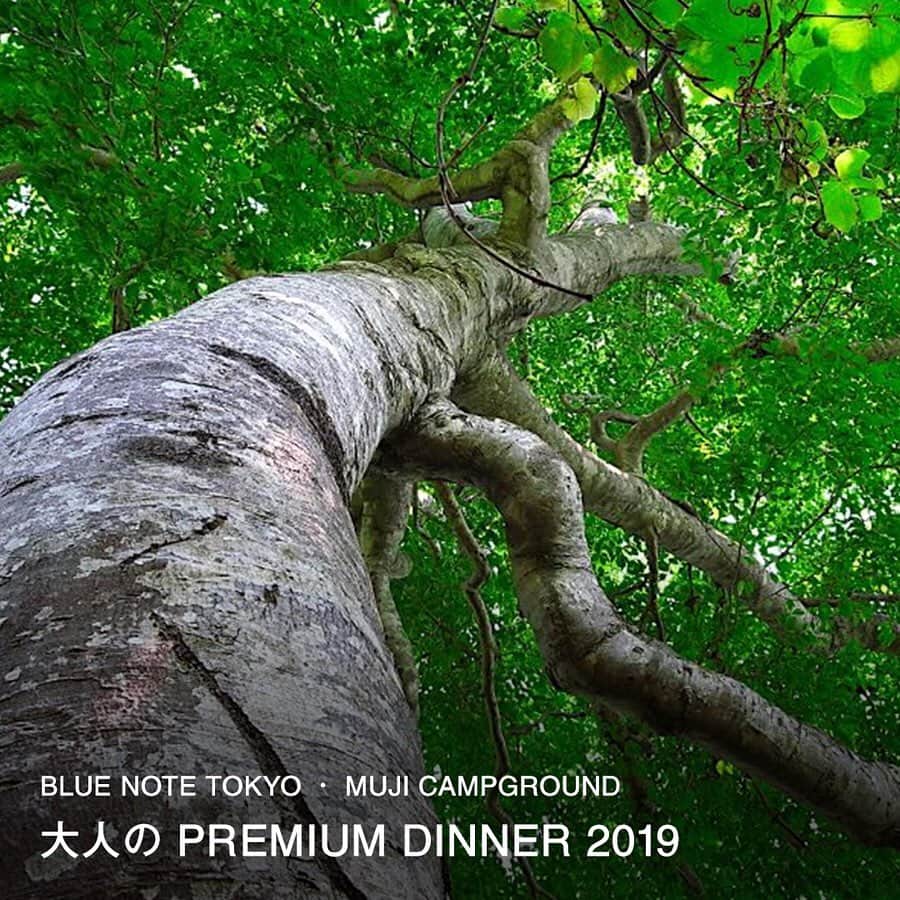 無印良品さんのインスタグラム写真 - (無印良品Instagram)「【キャンプ】『大人のPREMIUM DINNER 2019』開催 9月28日（土）から29日（日）にかけて、新潟県・津南キャンプ場にて一夜限りの野外レストランで特別なディナーを味わうイベント『大人のPREMIUM DINNER 2019』を開催します。 自然に囲まれたオープンキッチンのレストランで腕をふるうのは、上質な料理を提供することで知られる老舗ジャズクラブ、ブルーノート東京グループ シニアシェフの長澤宜久氏。 新潟が育んだ食材を使ったコース料理だけでなく、星空の下で新潟のお酒やクラフトビールを味わえるバーや、缶詰を使ったアウトドアクッキング講座なども企画しています。 ただいま参加予約を受付中です。皆さんのご来場をお待ちしています。  #無印良品 #MUJI #無印良品キャンプ場 #キャンプ場 #キャンプ #アウトドア #新潟 #津南 #津南町 #野外 #レストラン #ディナー #コース料理 #星空 #バー #お酒 #酒 #地酒 #クラフトビール #ブルーノート #BlueNote #ブルーノート東京 #BlueNoteTokyo #アウトドア料理 #キャンプ料理 #イベント #大人の休日 #おでかけ #クッキング #缶詰」8月19日 14時00分 - muji_global