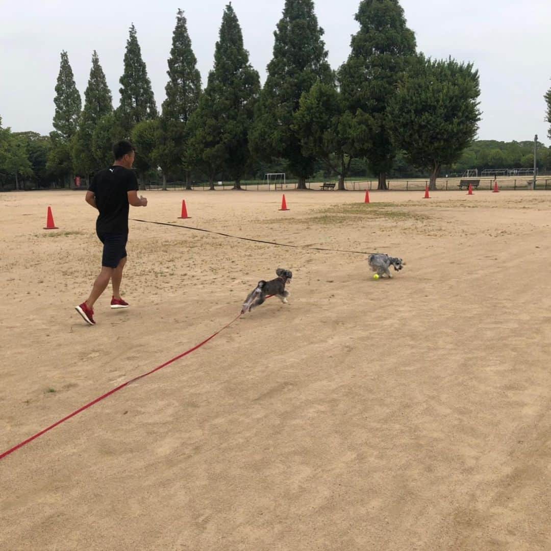 のインスタグラム：「良いオフを過ごせました。朝から公園で汗だく。 #off#公園#散歩#ランニング#ボール遊び」