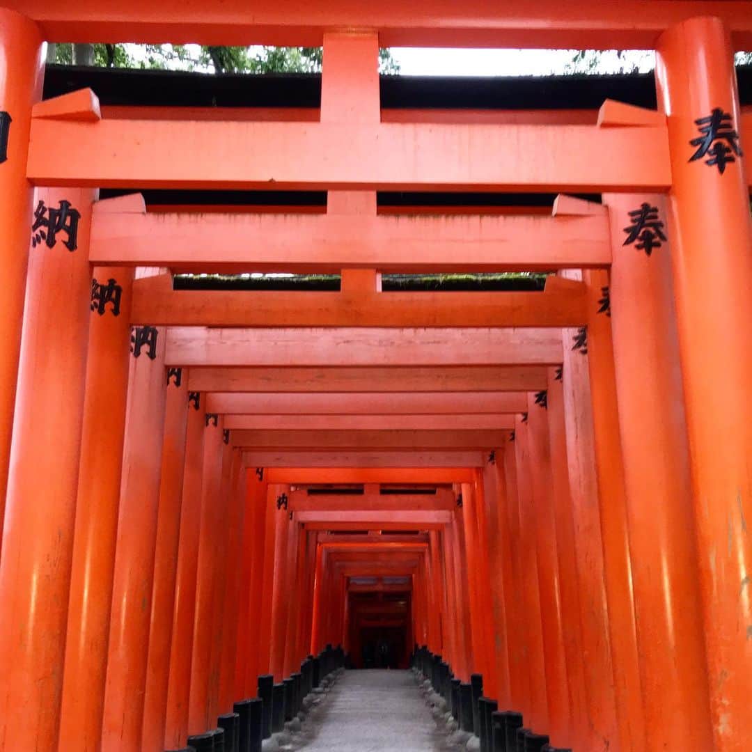のインスタグラム：「#kyoto 🇯🇵 #伏見稲荷大社 👘」