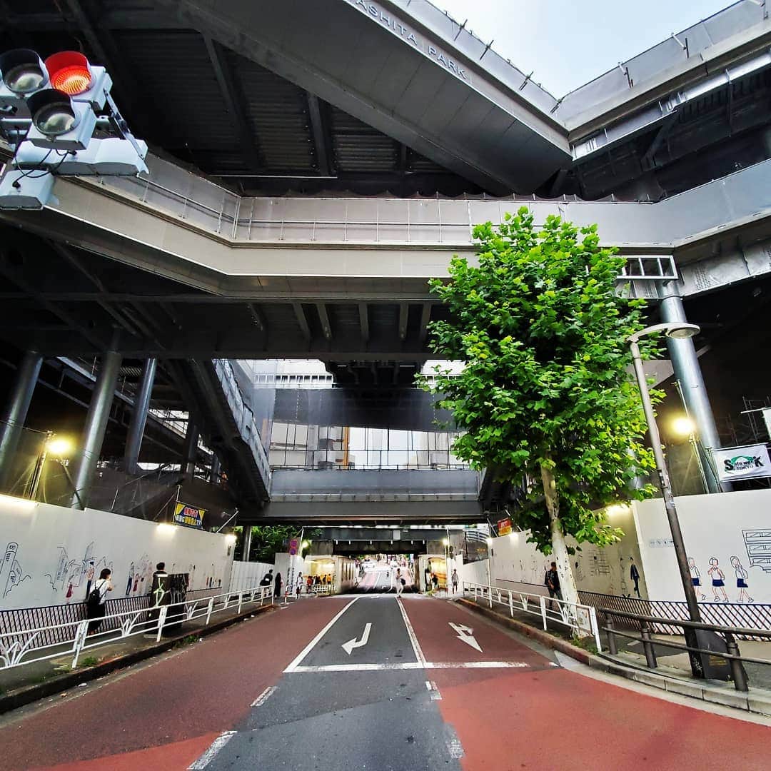 ANI さんのインスタグラム写真 - (ANI Instagram)「渋谷がイロイロ変わっててビツクリ👀✴」8月19日 16時33分 - sdp_ani