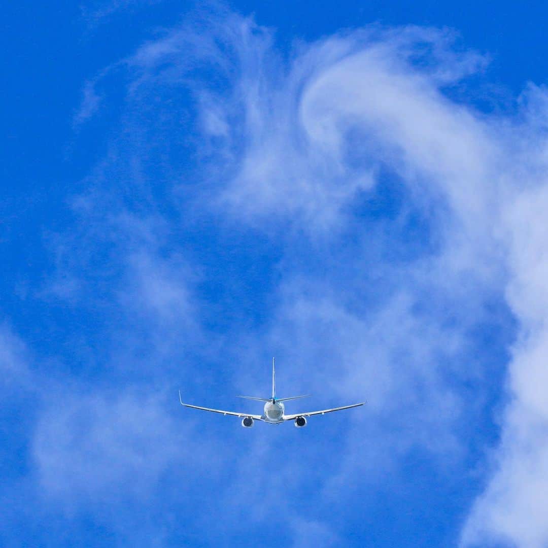 ANAさんのインスタグラム写真 - (ANAInstagram)「青空のキャンバスに雲のアート💙  #何かに見える #雲のアート #何かに見える雲 #雲 #空を見上げて #青空 #上空 #飛行機 #離陸 #旅行 #夏 #8月 #ダレカニミセタイソラ #ソラマニ_ヒコーキ #clouds #bluesky #sky #travel #sunny #summer #trip #airplane #takeoff #ana_jp  ANAの飛行機は「#ソラマニ_ヒコーキ」をつけて投稿してね🎵インスタやANAの各メディアでご紹介していきます✈️」8月19日 17時28分 - ana.japan