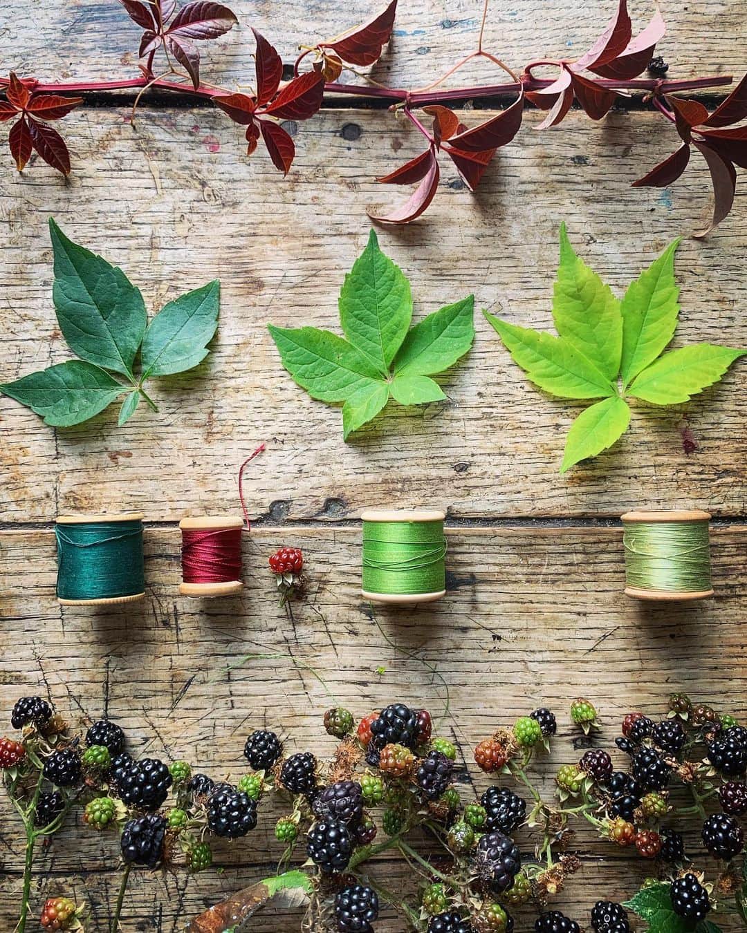 Tea and sittingのインスタグラム：「🌿🍇🧵...all things are connected 🖤 #5ftinftable」