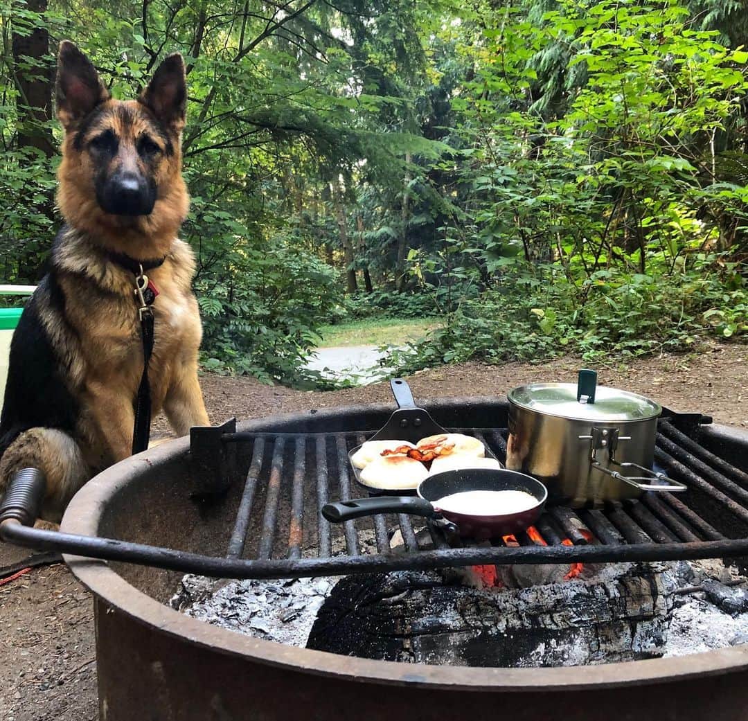 アメリカ大使館のインスタグラム