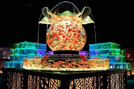 レッツエンジョイ東京さんのインスタグラム写真 - (レッツエンジョイ東京Instagram)「.﻿ ✩★------------------﻿ 1万匹の金魚が舞い泳ぐ！﻿ 「アートアクアリウム2019」﻿ ------------------✩★﻿ ﻿ 2011年の初開催以来、延べ945万人を動員し、今や東京の夏の風物詩となっている「アートアクアリウム」🎐﻿ ﻿ 光の反射によって中の金魚が大きく見えたり小さく見えたりする水槽や、時間によってライトアップの色が赤や青、緑などに変化する水槽など、美しくライトアップされた金魚や錦鯉などの優雅な姿をアートとして屋内で観賞することができます😍❣️﻿ ﻿ 五感から夏の涼を感じて、思い出に残るデートにしてみてはいかがでしょうか☺️🌌﻿ ﻿ 👘：ECO EDO 日本橋 アートアクアリウム 2019 ～江戸・金魚の涼～＆ナイトアクアリウム﻿ 📍：新日本橋／三越前﻿ 詳細はアカウントトップから﻿ 👉@lets_enjoytokyo﻿ ﻿ #レッツエンジョイ東京 #ぐるなび ﻿ #おでかけ #トキメキ女子﻿ #アートアクアリウム ﻿ #アートアクアリウム2019 ﻿ #金魚アートアクアリウム﻿ #artaquarium﻿ #金魚 #水族館 #水槽﻿ #夏の風物詩 #日本の夏﻿ #夏休み #令和最初の夏﻿ #アート巡り #フォトジェニックスポット﻿ #おでかけスポット #デートスポット﻿ #休日デート ﻿ #休日の過ごし方 #お出かけスポット﻿ #日本橋三井ホール #コレド室町﻿ #新日本橋 #日本橋 #三越前」8月19日 17時32分 - lets_enjoytokyo