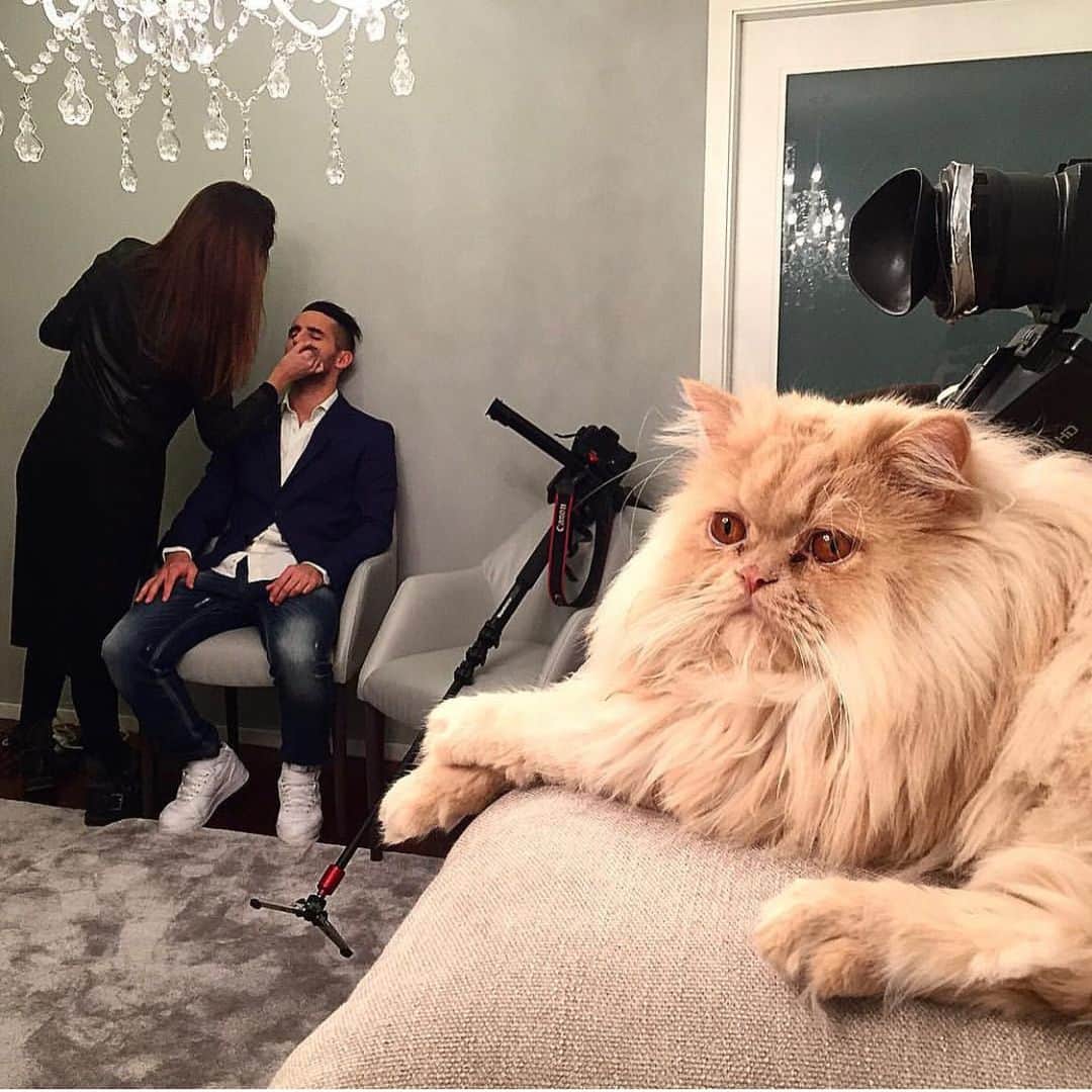 ウーゴ・ヴィエイラのインスタグラム：「Partiu mais um Bocadinho de Mim... Nunca Serás esquecido meu Rei 🐈 descansa em Paz 😪😔🙏 💫#Marley」