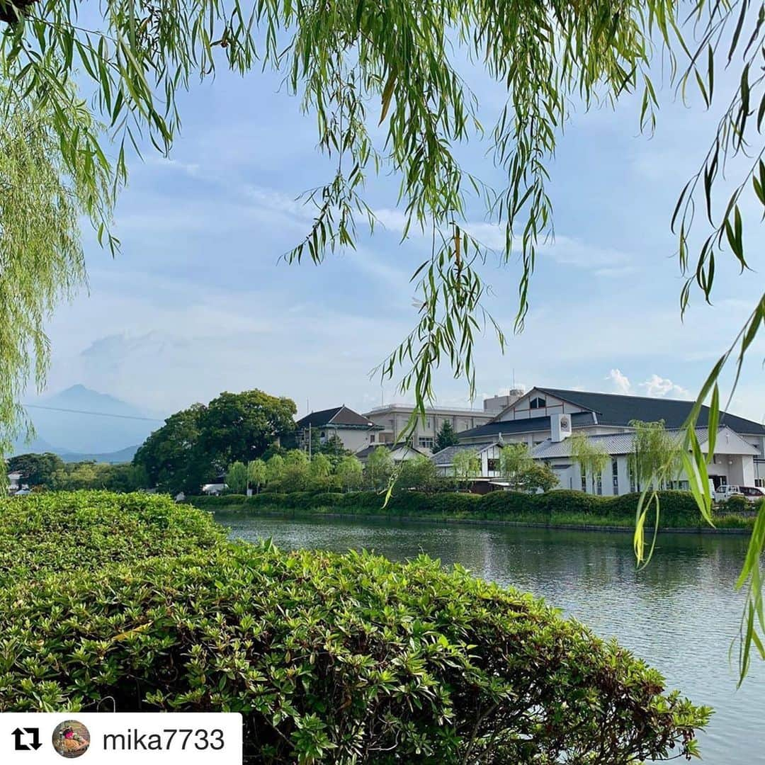 西条市さんのインスタグラム写真 - (西条市Instagram)「Repost @mika7733 with @get_repost ・・・ えひめさんさん物語の夏イベント。 水に浮く街【アートプロジェクト】で西条高校のお堀の水面を歩いて来ました。  アーティスト木村崇人さんと詩人の谷川俊太郎さんのコラボによる水のアート。  お堀の中を歩けるなんて素敵😍 とーっても気持ちよかった💕  夜はまたランタンをたくさん浮かべた幻想的なランタンフローティングと言うイベントがあるそうです。  みずのマルシェで五色そうめん食べた😊 美味しかったー。  #えひめさんさん物語  #水に浮く街アートプロジェクト #水に浮く街 #水の上を歩く #光の劇場 #30名限定 #西条高校 #西条市イベント #西条高校お堀 #うちぬき水 #五色そうめん #みずのマルシェ #lovesaijo  いつもの顔したお堀  #えひめさんさん物語 #水の物語 盛り上がったね 舞台となったお堀  江戸時代は伊予西條藩主のお城 今は西条高校が建っとる  #浦辺鎮太郎 設計の #愛媛民藝館 #栄光幼稚園 をはじめ、#西条市郷土博物館 #五百亀記念館 がある西条のカルチャースポット  ゆっくりしにいこね」8月19日 18時18分 - lovesaijo