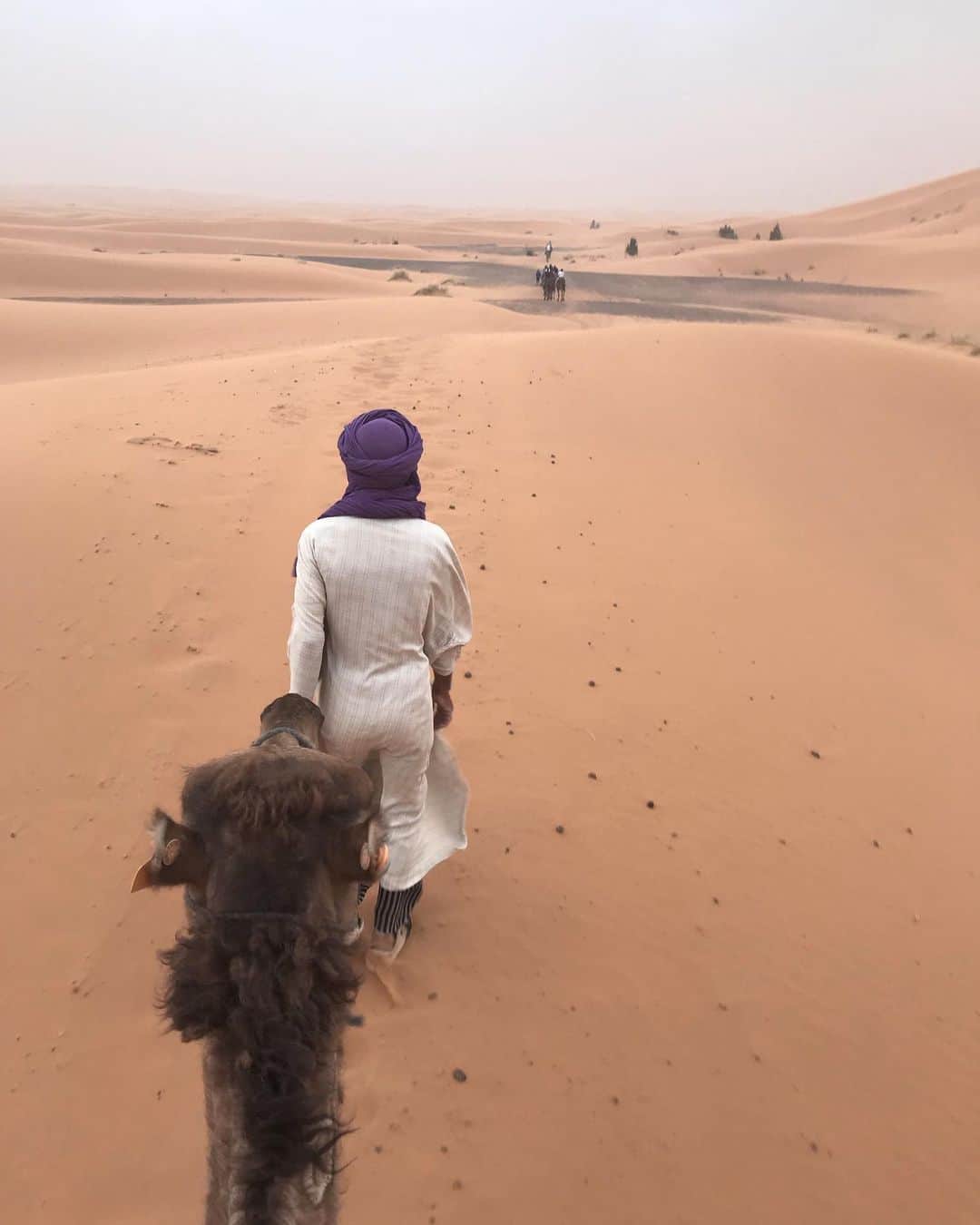 KUNIKAのインスタグラム：「Caravan tour in Sahara Desert🐫...﻿ ﻿ サハラ砂漠でラクダに揺られること2時間、キャベちゃん @cabbage.lovl と絶叫しながらの貴重な時間...!﻿ ちょうどラマダンの時期だったので、ラクダを引いてくれたベルベル人のおじちゃんは暑い砂漠でも一滴も水を飲まず...日が暮れた瞬間に急にストップして水をごくごくと飲んでた、 異文化を身近に感じることができた旅でした🇲🇦」
