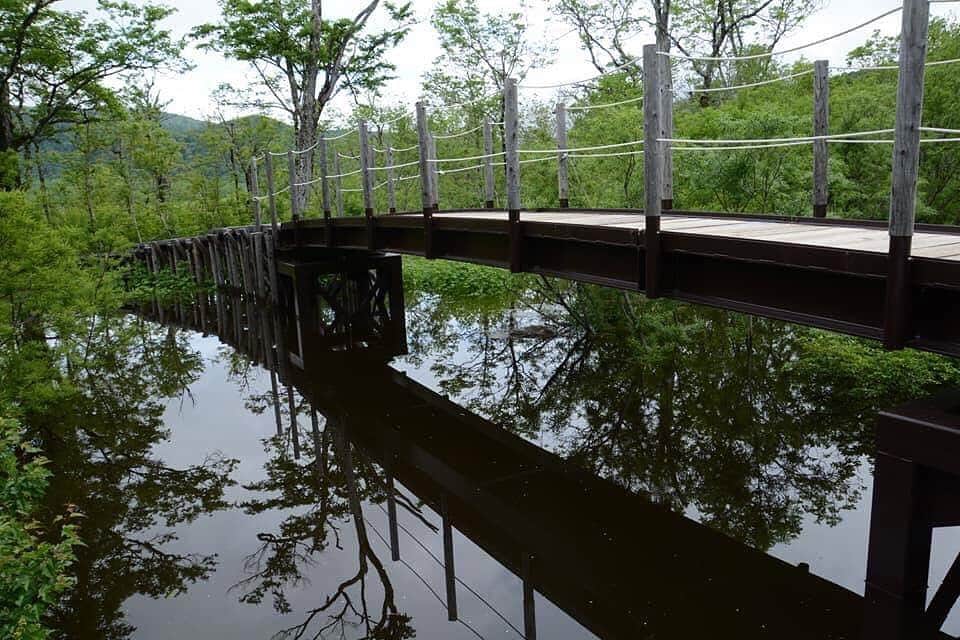 尾瀬旅のインスタグラム：「尾瀬の木々のシルエットは、木道や橋とのコラボレーションも素敵です。水面の森が、こちらを見ています。 . photo by T.Kanzaki . #尾瀬とtepco　#ozextreme　#尾瀬 #oze #尾瀬旅　#discoveroze  #igtravel #instagramjapan  #山が好きな人と繋がりたい  #ファインダー越しの私の世界　 #japantrip #旅の思い出　 #旅好き　#traveljapan　#綺麗な景色　 #かわいい　#美しい　#自然　 #誰かに見せたい景色 #travel　#travelgram #旅行好きな人と繋がりたい　#自然好き #自然好き　#ハイキング　#hike ＃リフレクション #リフレクションのある景色 #東電下の大堀橋 #green #road」