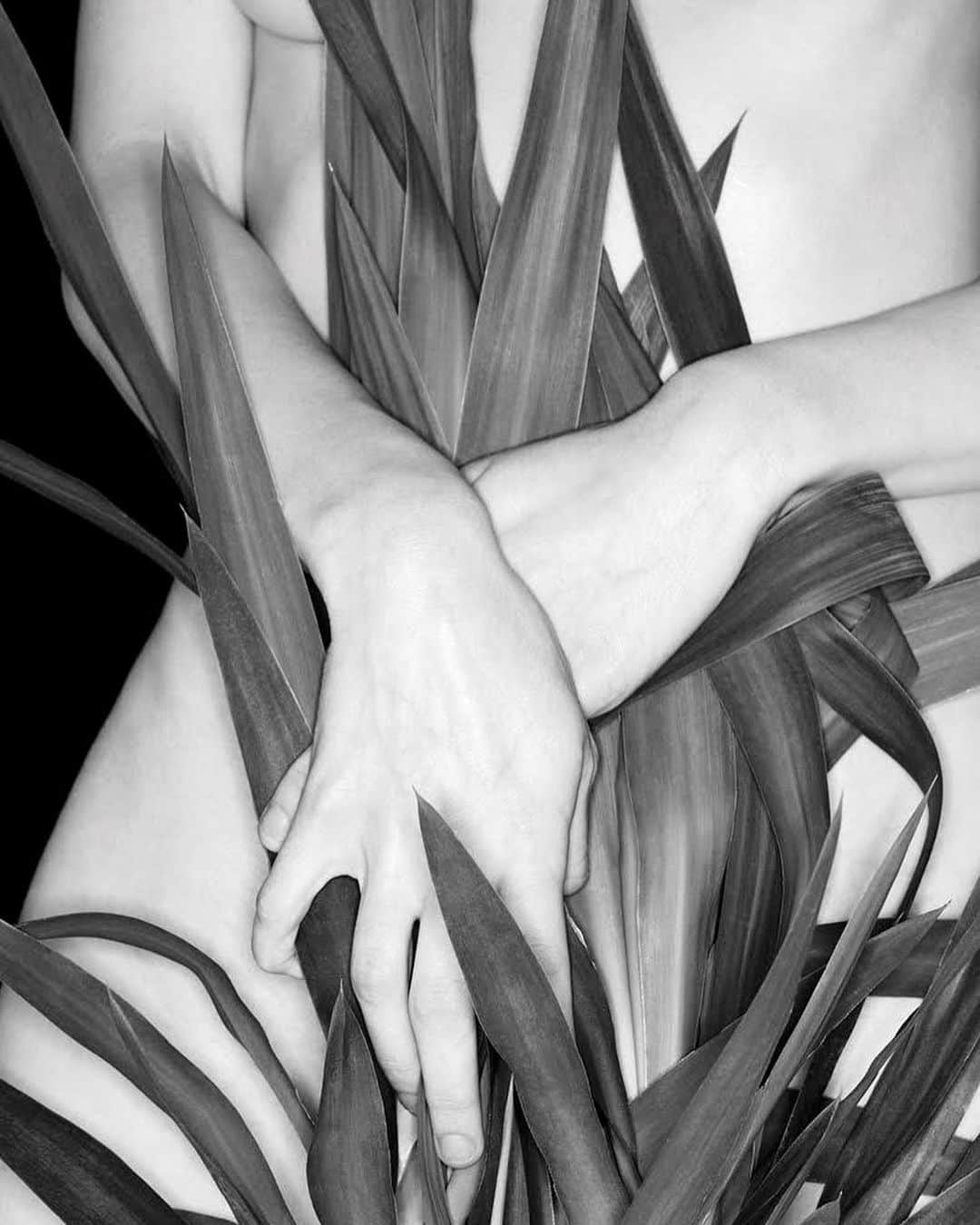 AnOther Magazineさんのインスタグラム写真 - (AnOther MagazineInstagram)「A phytophile is a person who is especially interested in plants – a ‘lover of plants’. @belaborsodi’s new zine is a study of one woman and her houseplants, a series of “crude, rude” nudes exploring a unique fetish. See inside the zine – out now via @dashwood_books – at the link in our bio 🌿🔗」8月20日 5時32分 - anothermagazine