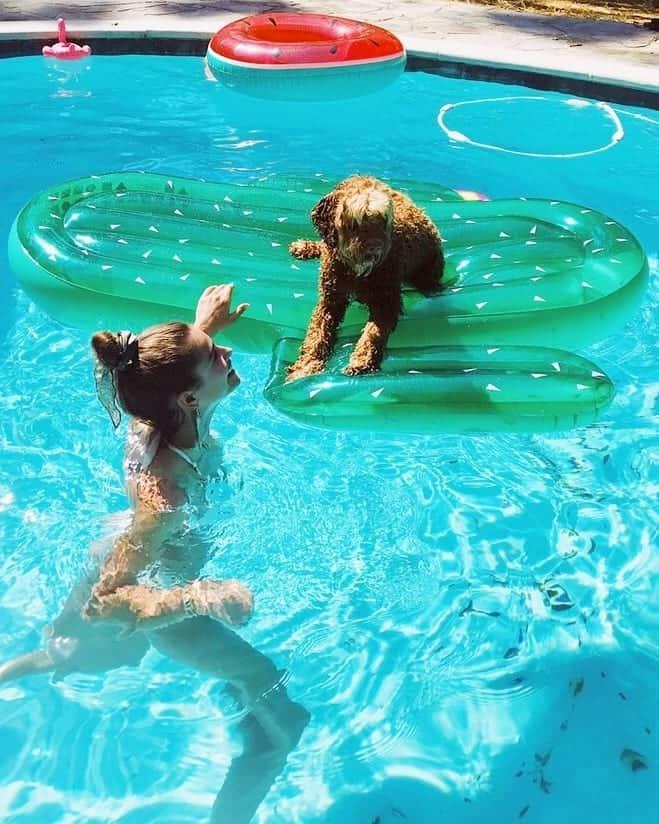 テイラー・ヒルさんのインスタグラム写真 - (テイラー・ヒルInstagram)「A Pisces and a water dog 🐟」8月20日 4時33分 - taylor_hill