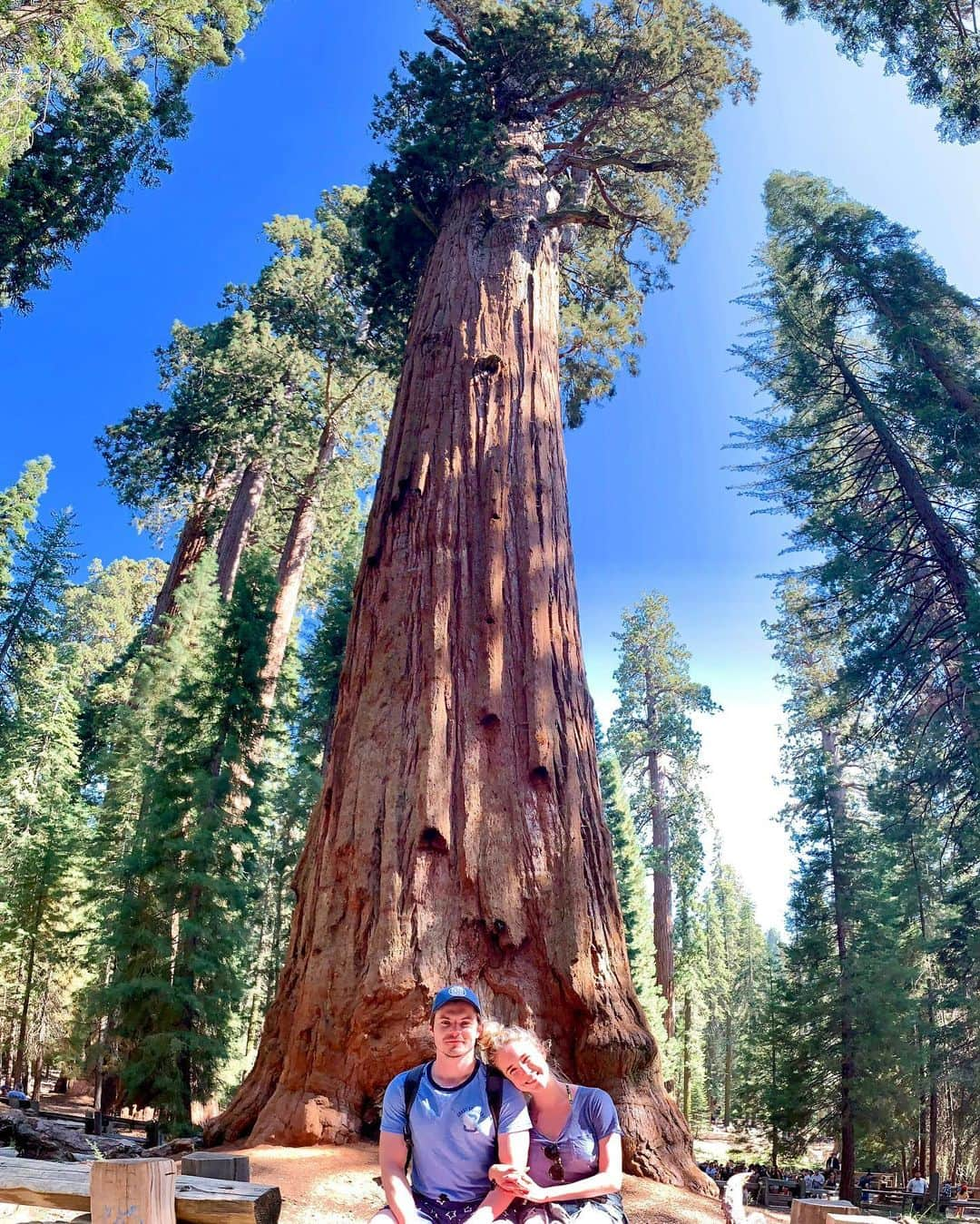 スペンサー・ロックのインスタグラム：「Happy days 💙 @chrismason_1 #sequoianationalpark」