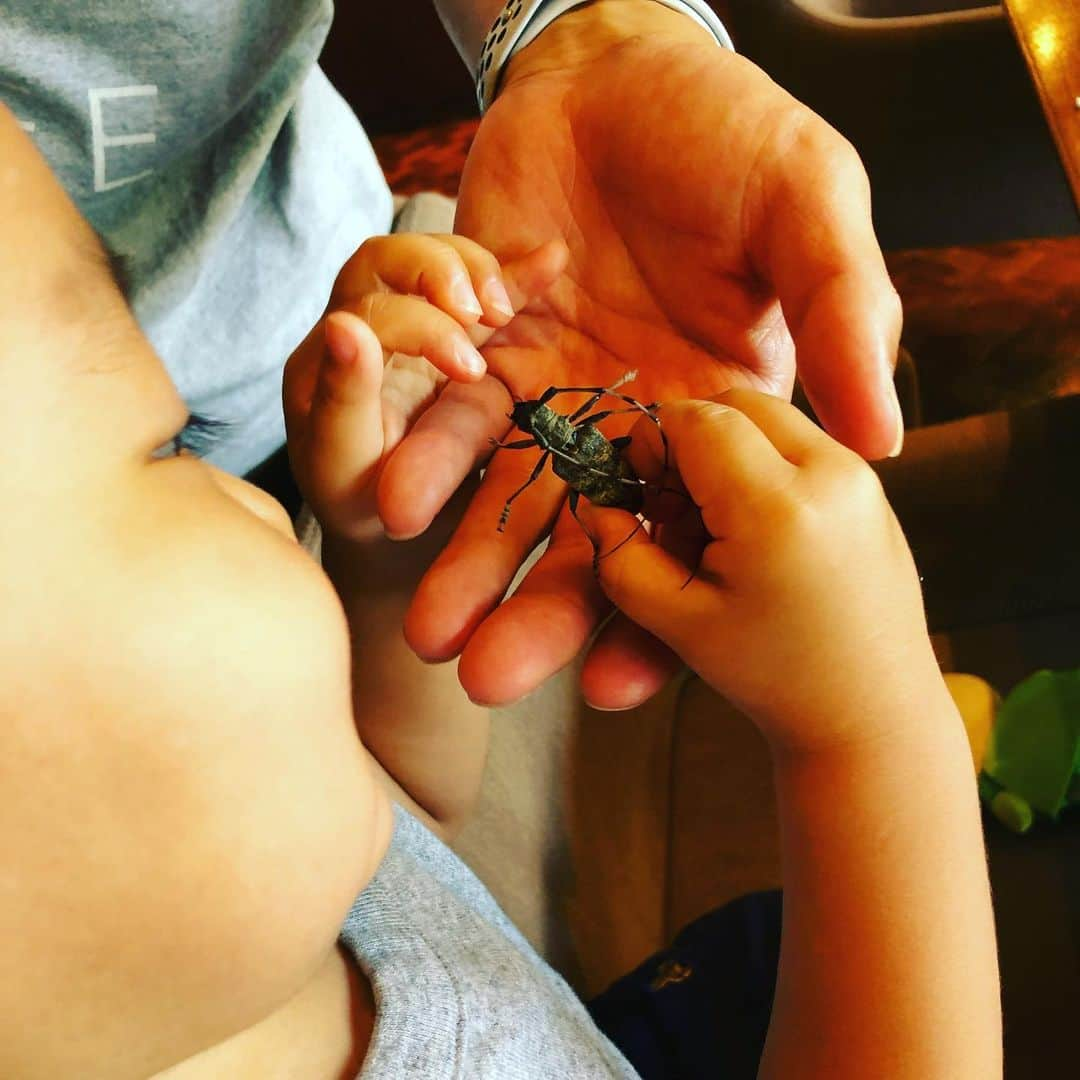 迫田愛子さんのインスタグラム写真 - (迫田愛子Instagram)「夏の思い出 @happoen 🌞 お友達親子と週末モーニング🥐☕️ 子どもみんな男の子！w  八芳園のスタッフさんが、カミキリムシを子どもたちに見せに来て下さり大興奮😍✨✨ ヤンチャ盛りの都会ボーイズ達に自然を見せに来てくれたことに感動🥺💗 本当に嬉しかった‼️ “おもてなし”とは。を感じたし、考えさせてもらえた。  攻めてる！  見習いたい。  八芳園がもっともっと好きになった💖  #ママ #mammy #baby #babyboy #男の子ママ#生後24ヶ月 #2歳 #8月生まれ」8月19日 20時25分 - aiko_esnail